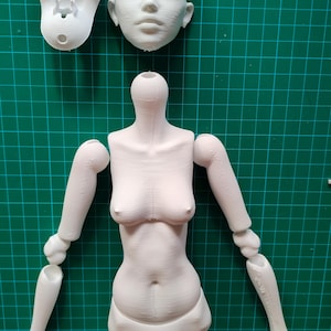 May include: A disassembled white doll, with separate head, torso, arms, legs, and hands. The doll's head has facial features. The body is articulated, with joints at the shoulders, elbows, hips, and knees. The doll is on a green grid surface.