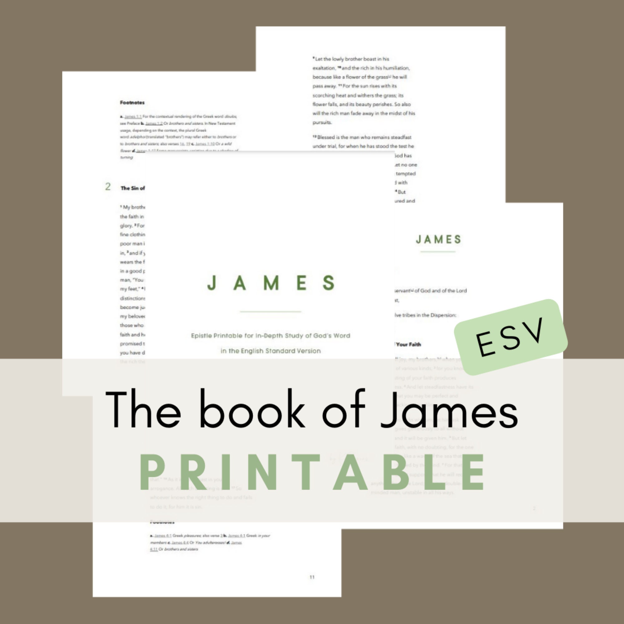 James ESV Printable Bible Reading & Journaling Scripture Etsy