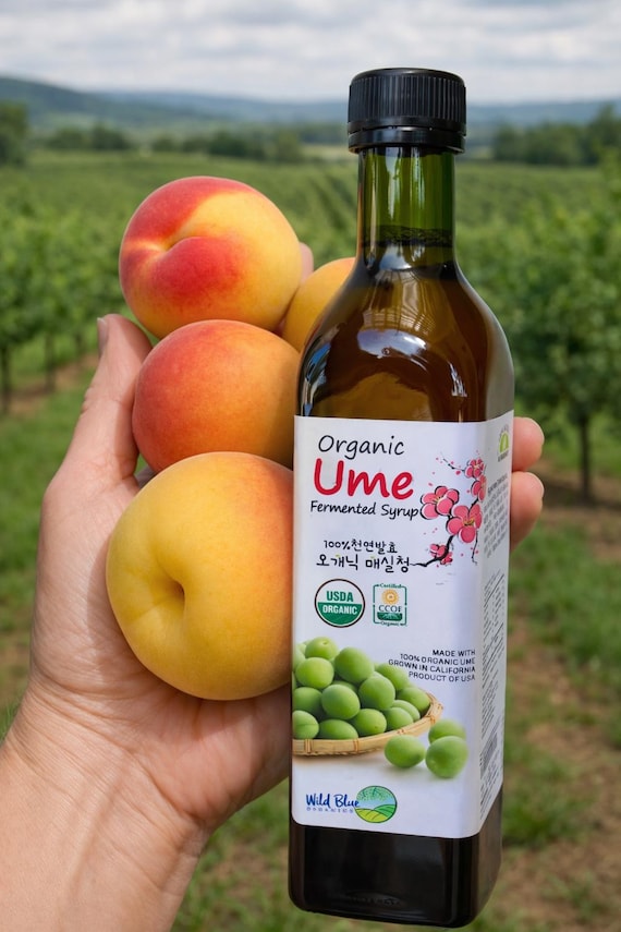 Japanese Ume Plum Syrup (梅シロップ · 매실엑기스) | Naturally Fermented • Organic