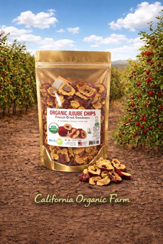 Organic Jujube Fruit Chips | Naturally Sweet Superfood