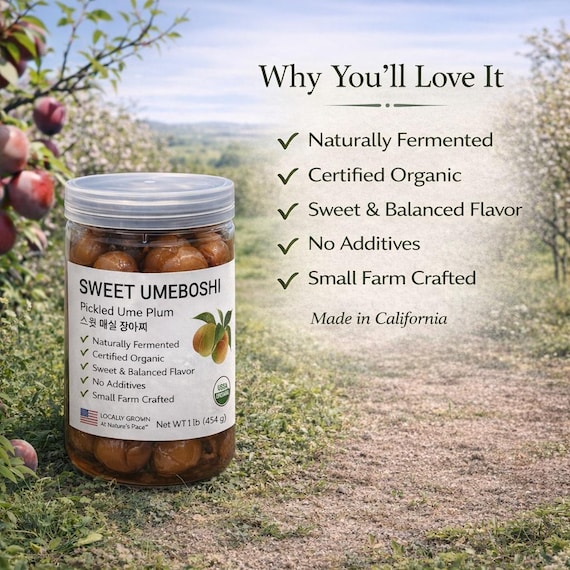 Sweet Umeboshi (スイート梅干し · 스윗 매실 장아찌) | Pickled Ume Plums