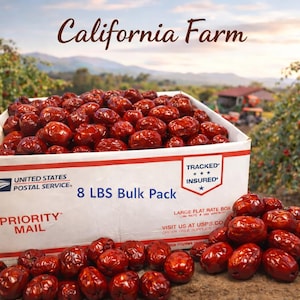 100% ORGANIC Dried Jujube Date California Grown 대추 Hong Zao 紅棗