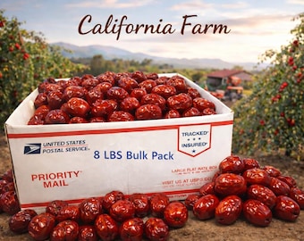 100% ORGANIC Dried Jujube Date California Grown US Seller 대추 Hong Zao 紅棗 táo tàu Bulk