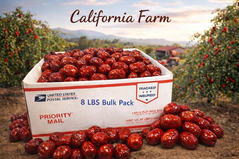 100% ORGANIC Dried Jujube Date California Grown US Seller 대추 Hong Zao 紅棗 táo tàu Bulk image 1