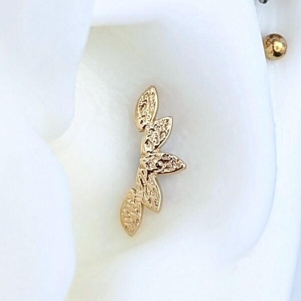 14k Yellow Gold Threaded Conch Labret Top w/ Titanium Post, Hammered Five Leaf Conch Earring, 16g Conch Stud, Conch Sieraden, helix, plat