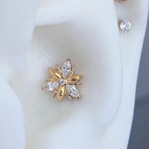 ASTM F136 Marquise Cluster, Threadless Labret Piercing, Muschel Bolzen, Helix, Helix, Helix, Helix, Helix, Helix, Pin labret