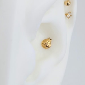 ASTM F136 Titan Marienkäfer Conch Labret, Innengewinde, 16 Gauge, Muschelohrring, Muschelschmuck, Helix, Muschelpiercing, Tragus