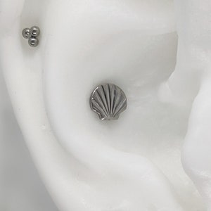 May include: A close-up of a person's ear with multiple piercings. The piercings include a small seashell charm, a cluster of three small silver balls, a single silver ball, and a small clear gemstone. The person is also wearing a silver hoop earring with a row of clear gemstones.