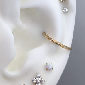 G23 Titanium conch hoop, Faceted with Gem Conch Hoop, 10mm 12mm, 16 guage, gold conch clicker hoop, conch earring, conch Jewelry, septum
