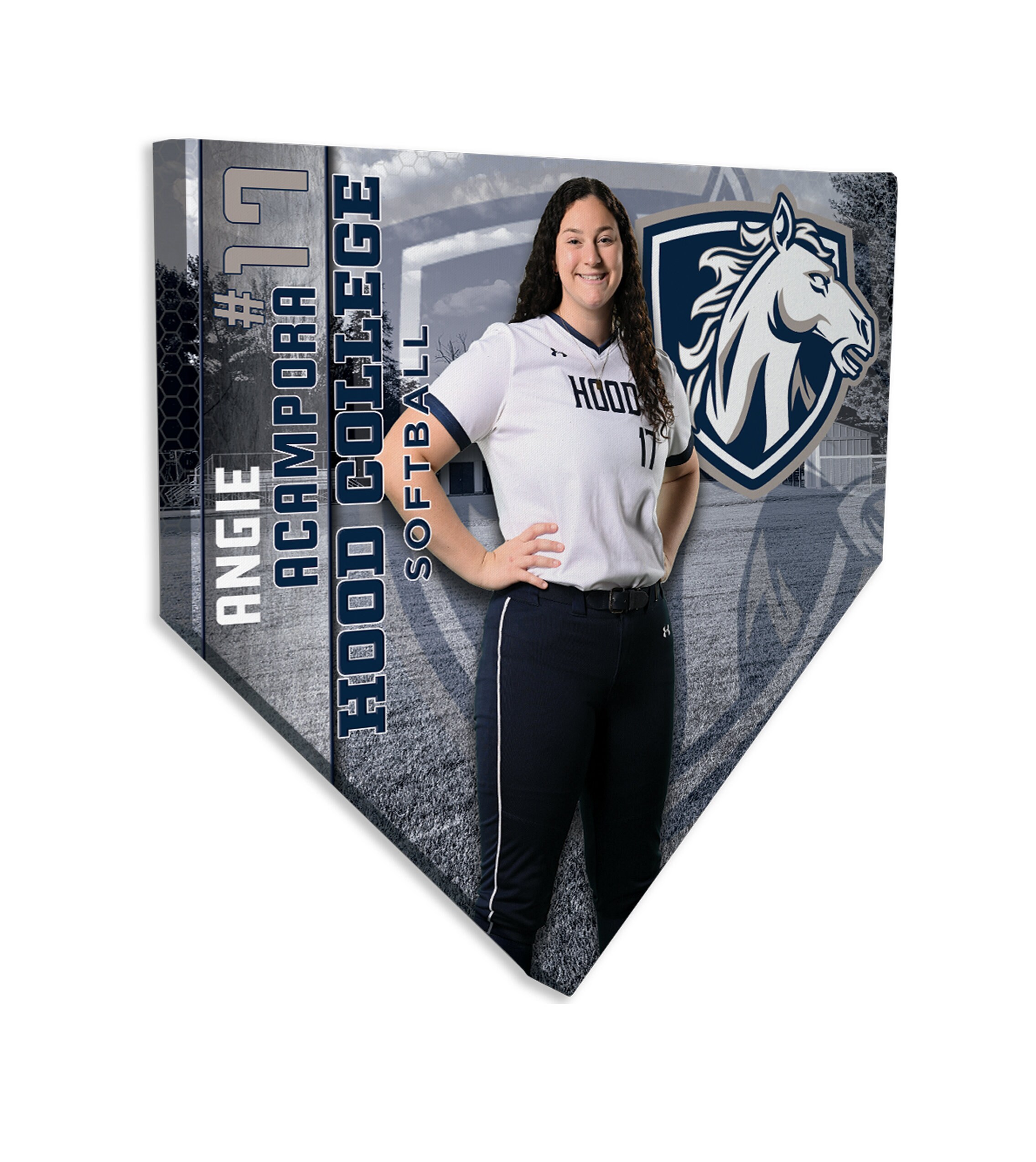 Softball Home Plate Plaque, Softball Award, Team Gift, Baseball Gift, Coach Gift, Softball Gift, Team Award, Team Trophy, Sports Award