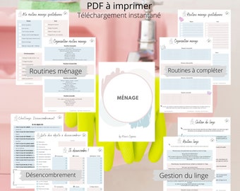 Organization Kit: Household Section. / PDF to download and print / Planner / Printables
