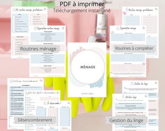 Kit d'organisation: Section Budget. / Pdf à télécharger et imprimer  illimité / Gestion du budget / Planner / -  France