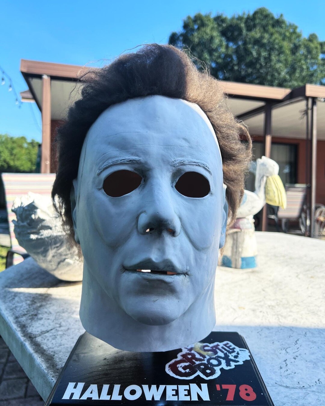  Halloween 1978 Michael Myers Mask White : Clothing, Shoes &  Jewelry