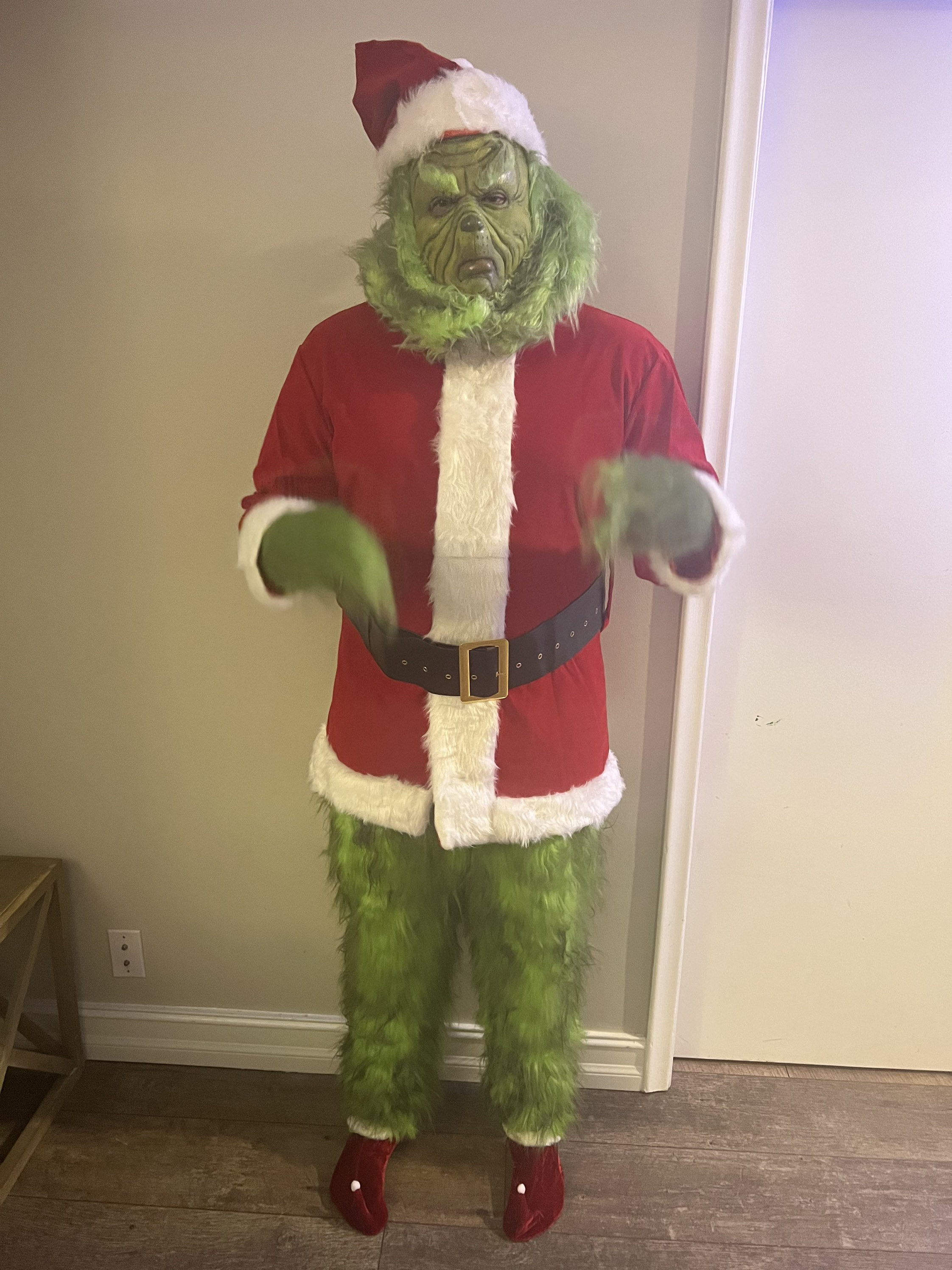 Jim Carrey Grinch Full Costume High Quality - Etsy