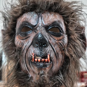 Könnte beinhalten: Detaillierte Werwolfmaske in Braun- und Schwarztönen. Die Maske zeigt einen grimmigen Gesichtsausdruck mit sichtbaren Fangzähnen, einer markanten Nase und dunklen Augenhöhlen. Das zottelige, braune Fell verleiht ein realistisches und furchterregendes Aussehen.