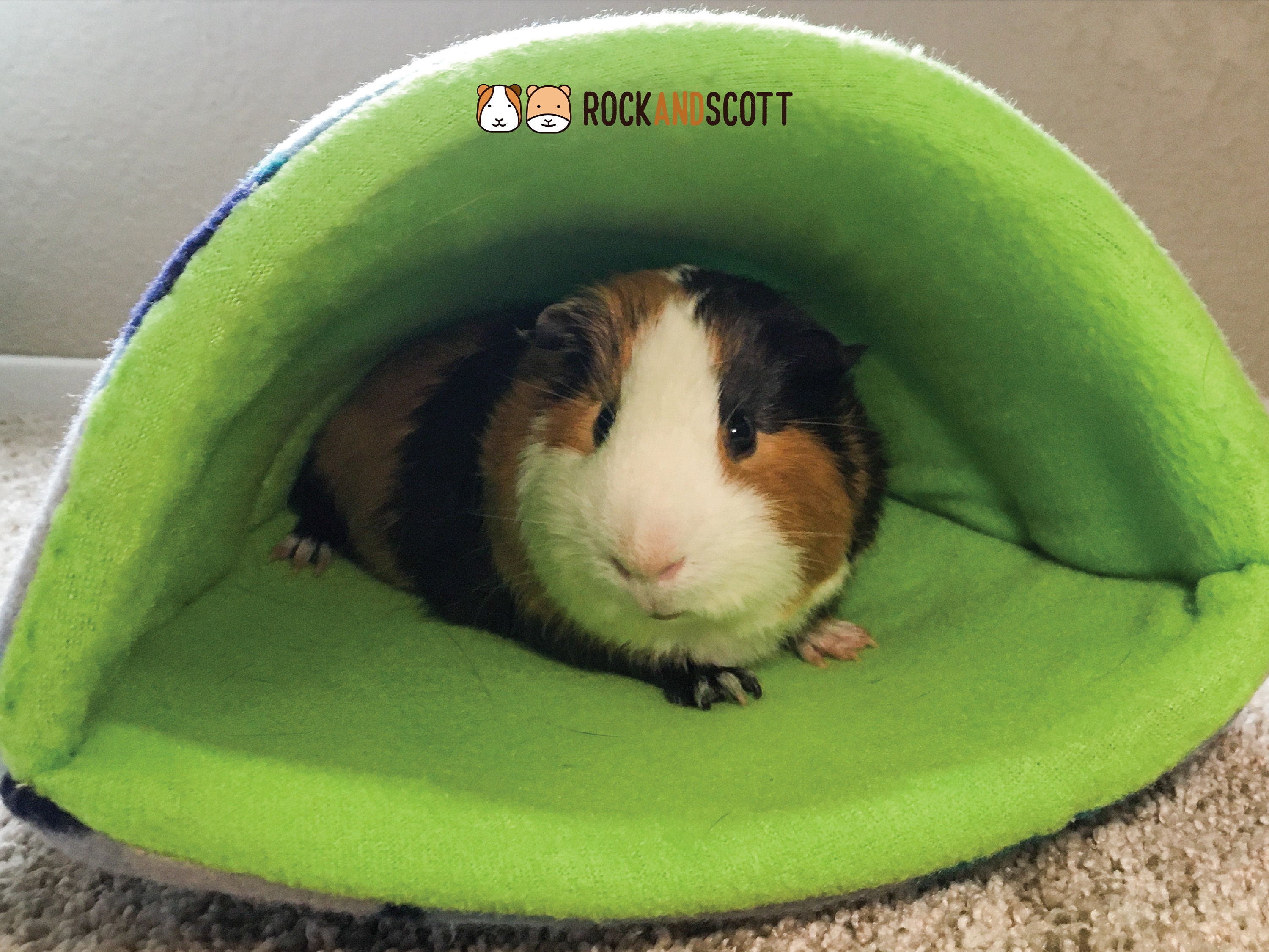 Mermaid Tail Guinea Pig Bed Cave Bed for Small Animals Etsy