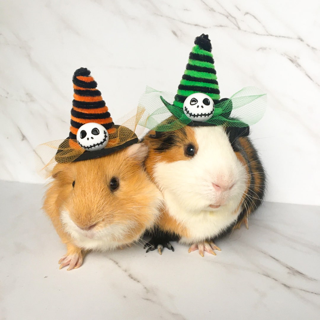Guinea Pig Witch Hats Halloween Costume For Hamsters Rats Mice Il 1080xN.2615317489 6ghz