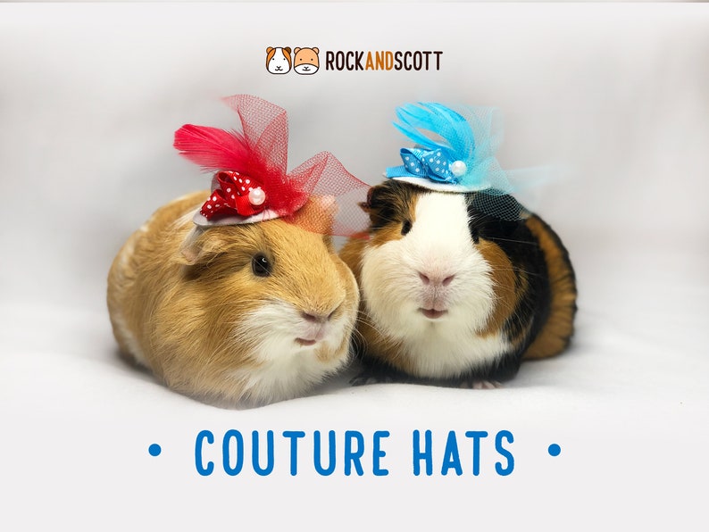 Guinea Pig Couture Hats Hats for bunny rabbits hamsters image 0