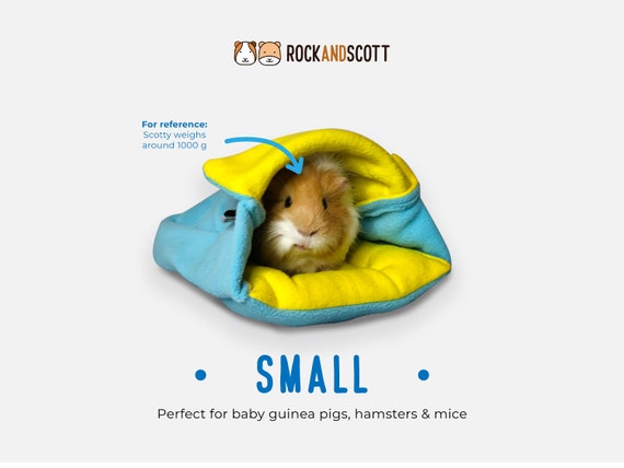 Guinea sales pig pouch