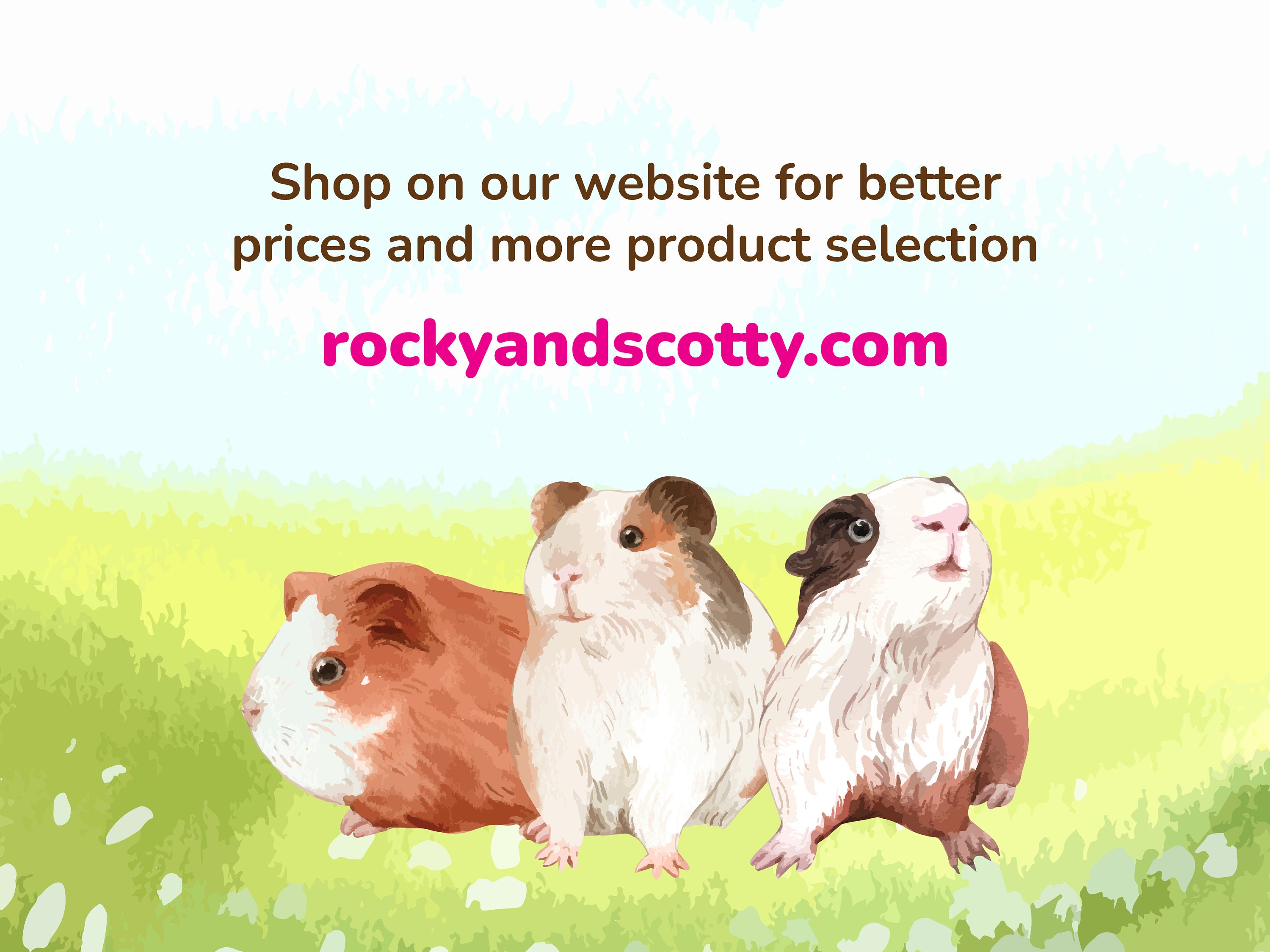 Guinea sales pig websites