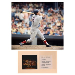 Negativo fotográfico da MLB de Rico Petrocel, 1970! Slide de 120 mm com taco e bola de beisebol do Boston Red Sox.