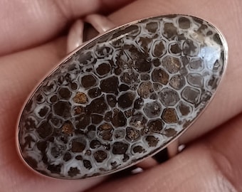 Grote ring natuurlijk fossiel koraal, 92,5 sterlingzilver, handgemaakte fossiel koraal zilveren ring