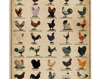 Breeds Of Chicken Vintage Farmer Poster