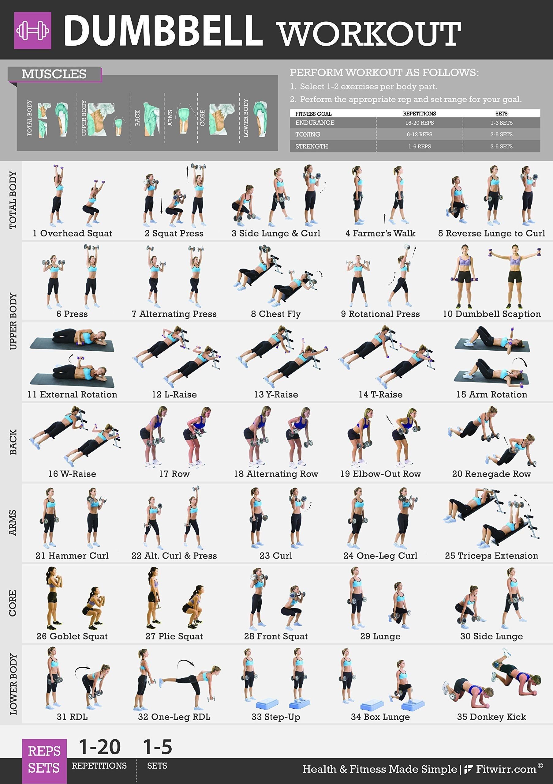 20 Best Dumbbell Exercises Complete with Animated Diagrams - Sport Fitness  Advisor