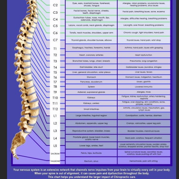 Subluxation vertébrale et tableau nerveux Poster