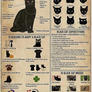 Black Cat Knowledge Poster HOme Decor ver 1