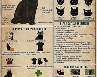 Black Cat Knowledge Poster - Etsy