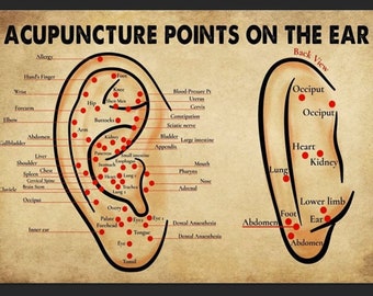 Acupuncture Points On The Ear Digital Download