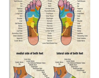 Massage Therapist Foot Reflexology Chart  poster 12x18 inches