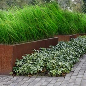 Custom Made Planter Box. Corten Steel Planters, Raised bed Corten Steel Planter boxes.