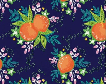 Citrus House by Erin Borja 2 Piece Fat QuarterQuarter Yard Bundle Paintbrush Studio Fabrics