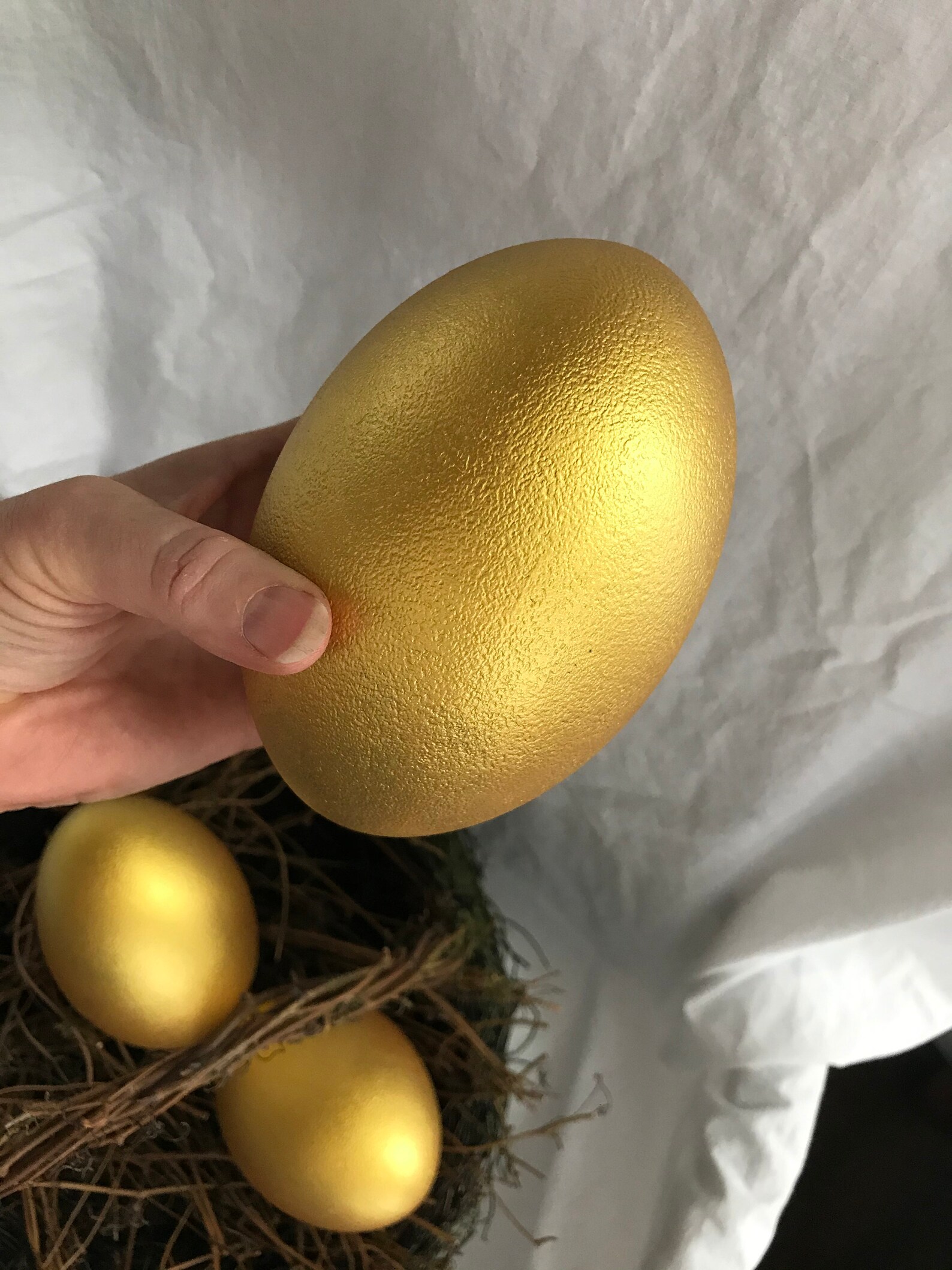 Golden Emu Egg Etsy