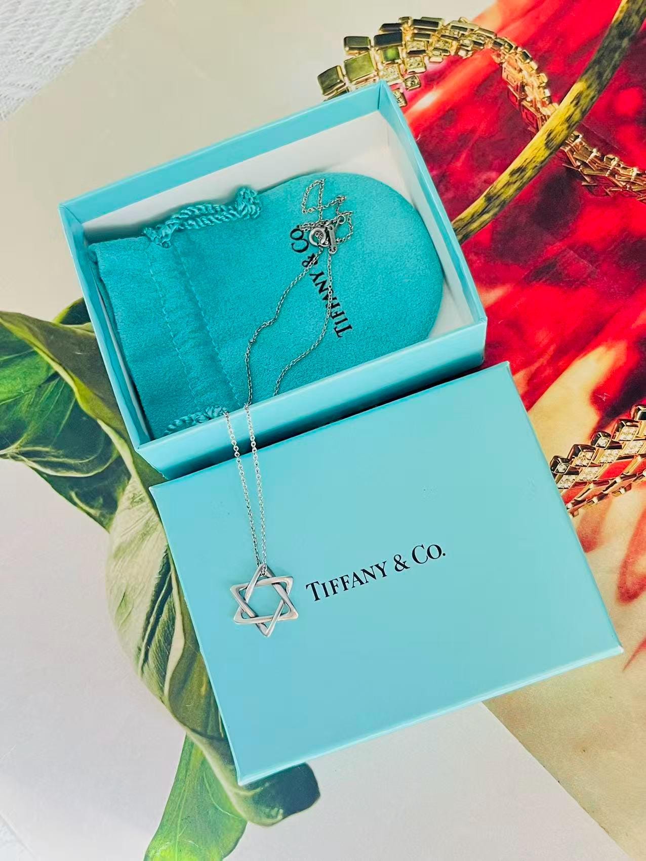 Tiffany & Co Vintage Elsa Peretti Large Star of David Hexagram