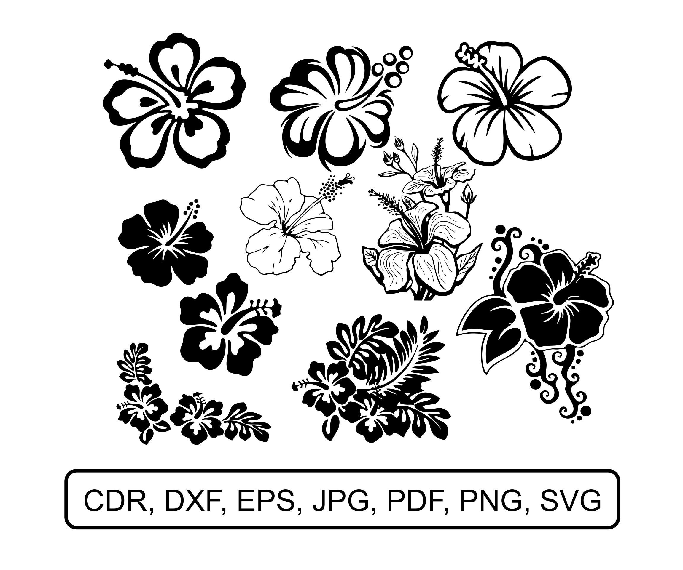 Free Free 142 Hibiscus Flower Outline Svg SVG PNG EPS DXF File