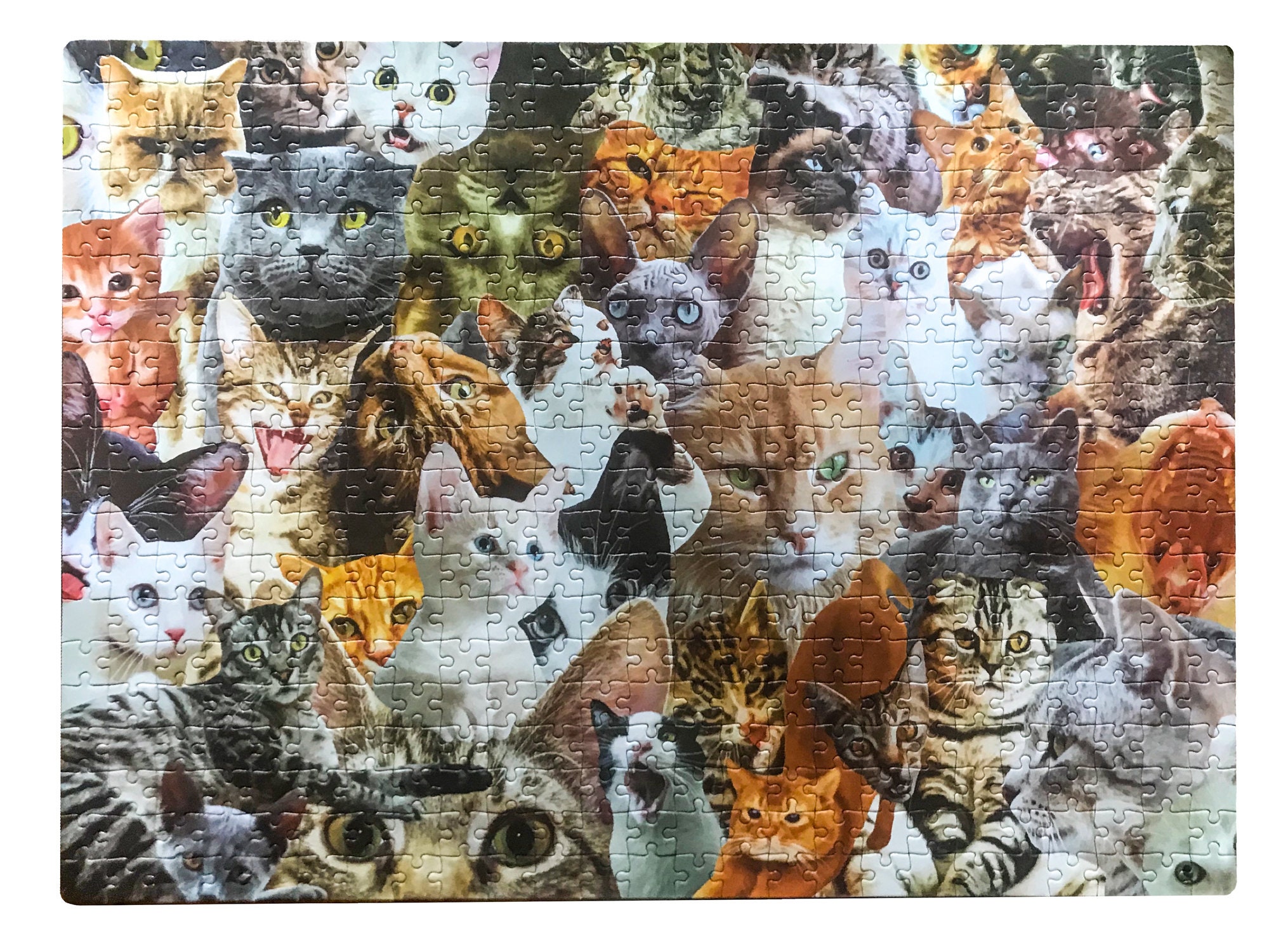 cat lovers puzzle