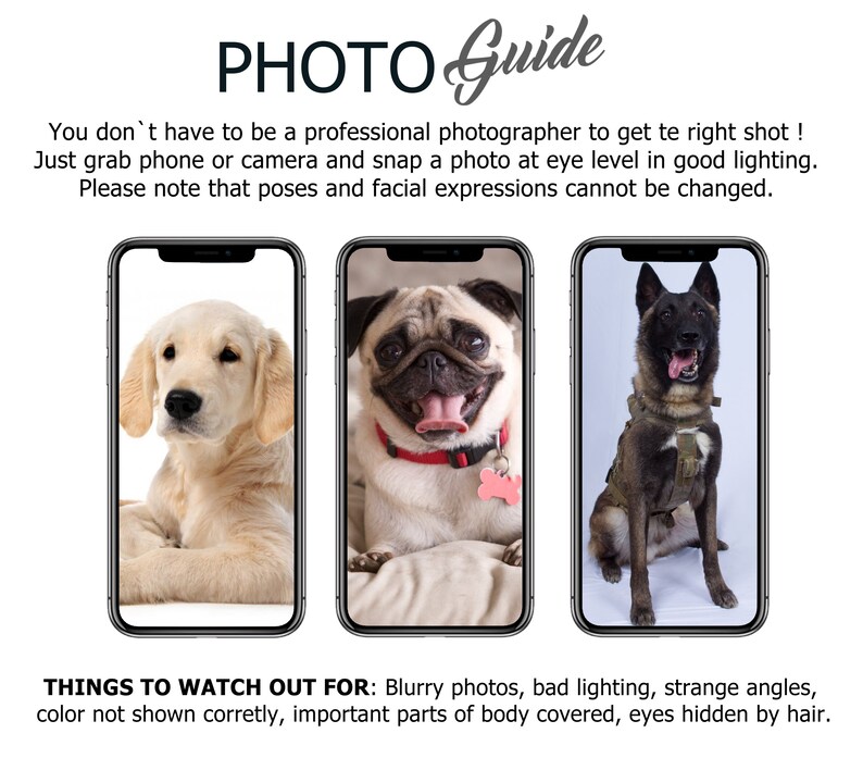 Digital Pet Portrait Pet Portrait Digital Art Pet Etsy