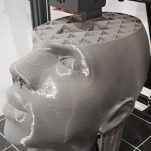 May include: A grey 3D-printed human head with an open top, showing a geometric lattice structure. The head is being printed by a 3D printer, with the print head above. The sculpture is a representation of the human head.
