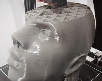 Professional 3D Printing Service - Custom 3D Printed Parts & Projects - Plastics, Composites, Resin, Large Format, Large Capacity