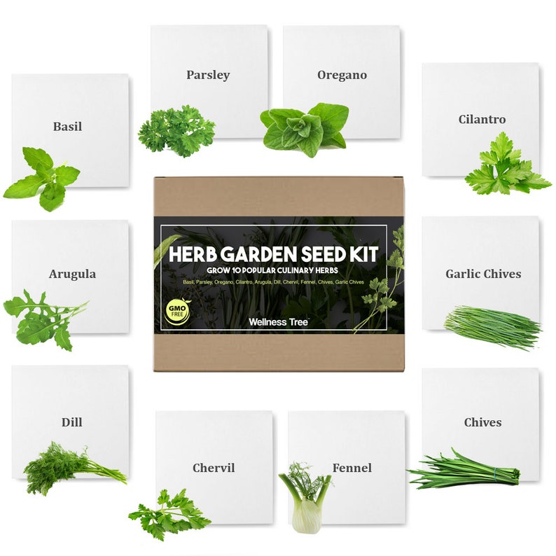 Herb Garden Seeds Kit for Planting Non GMO Culinary 10 Etsy