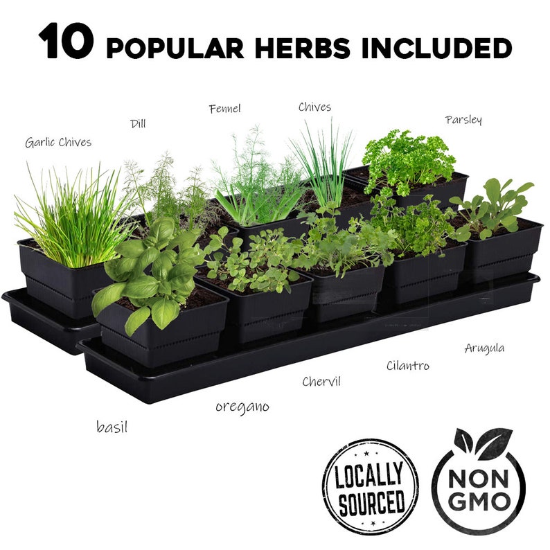 Window Garden Kit 10 Herbs Indoor Organic Herb Growing Kit Etsy