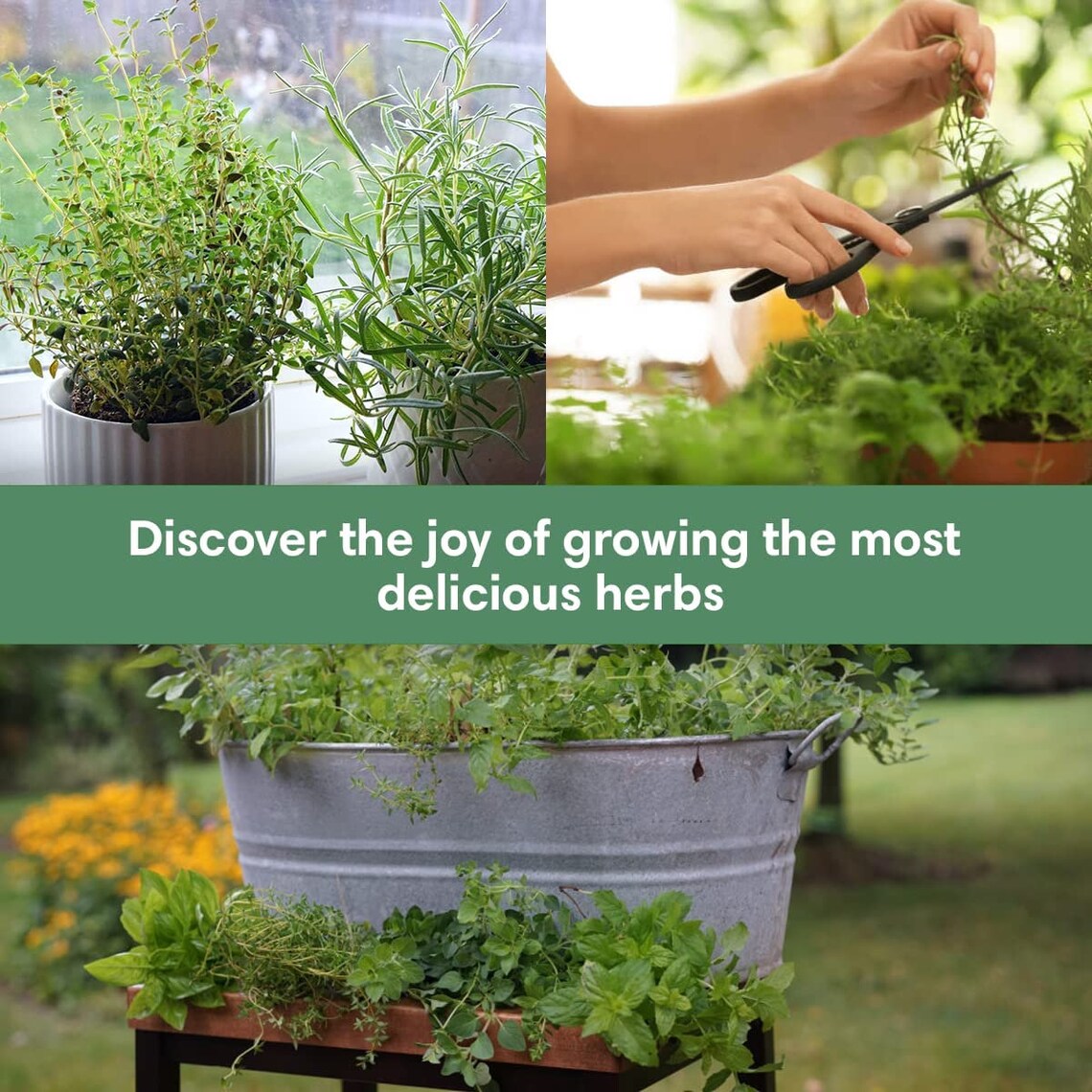 Culinary Herb Garden Kit Easily Grow 10 Culinary Herbs With Etsy