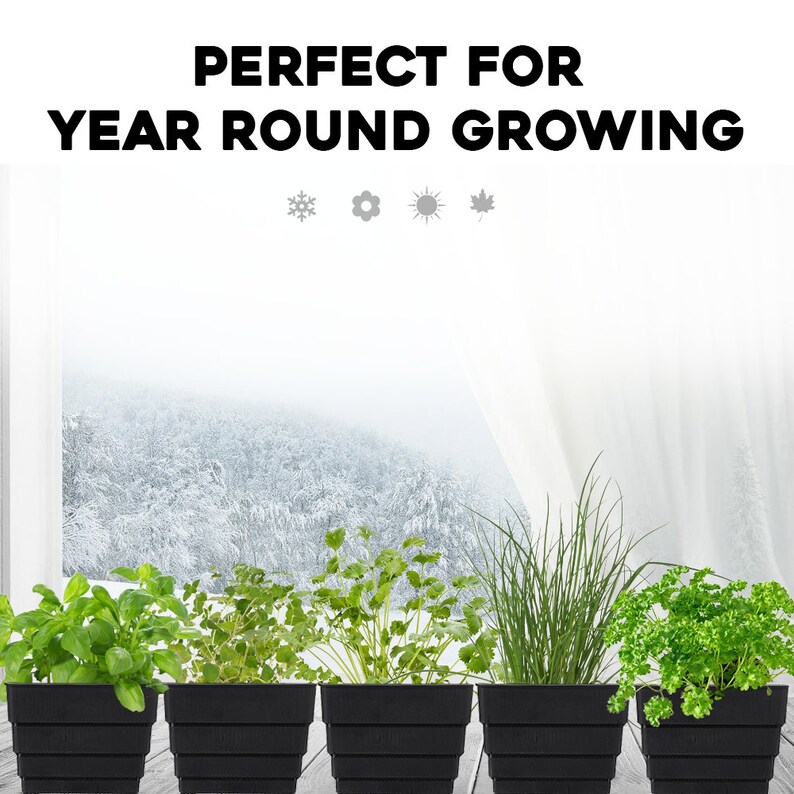 Window Garden Kit 10 Herbs Indoor Organic Herb Growing Kit Etsy