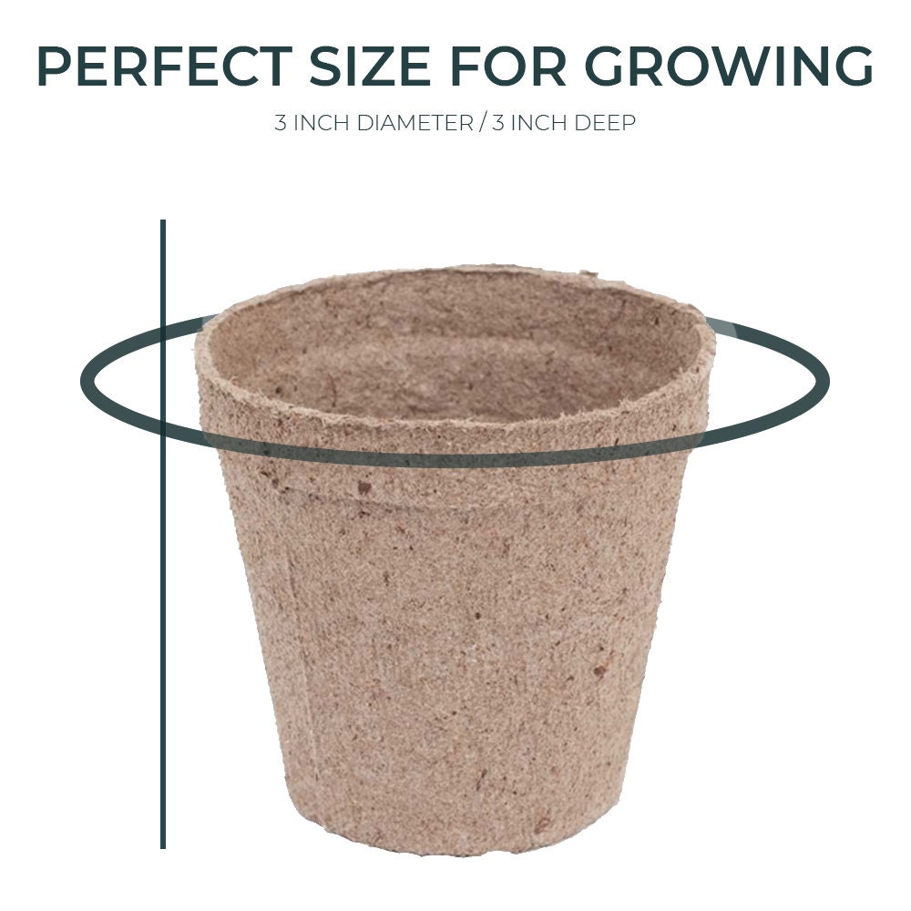 10PACK Peat Cups Seedling Starter Kit With Coir Soil Disc & Etsy Canada