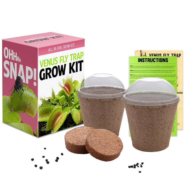 Venus Fly Trap Seeds Growing Kit All in One Carnivorous Etsy