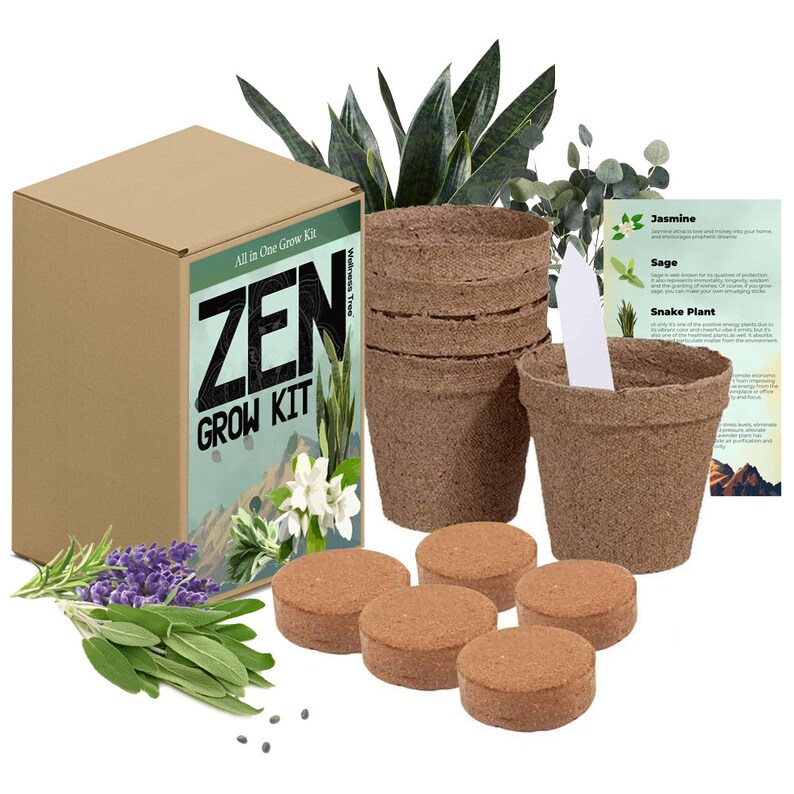 Zen Garden Grow Kit Spirtual House Plants Healing Plant Grow Etsy