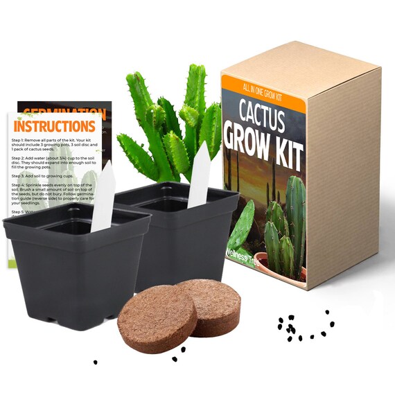 Cactus Plant Seeds Growing Kit All In One Cacti Succulent Etsy